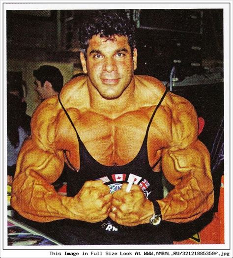 Лу Ферриньо (Lou Ferrigno), фотографии, биография, соревнования ...