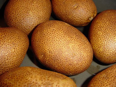Russet Burbank (сорт картофеля) | это... Что такое Russet Burbank (сорт ...