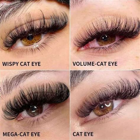 Cat Eyelash Extensions: All About the Most Popular Style | Lashes fake ...