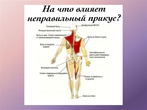 Ортодонтия. Ортодонтическое лечение - презентация онлайн