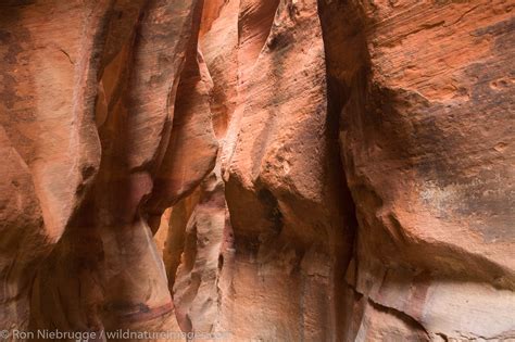 Slot canyon near Zion. | Photos by Ron Niebrugge