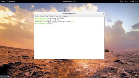 Команда chmod Linux - Losst