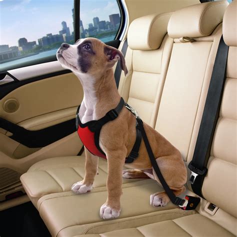 Pet dog Car Seat Dog Harness and Leash Seat Safety Vehicle Dog Leads Belt 4 Colors For Small ...