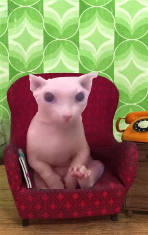 Talking bingus (I made this) : r/bingus