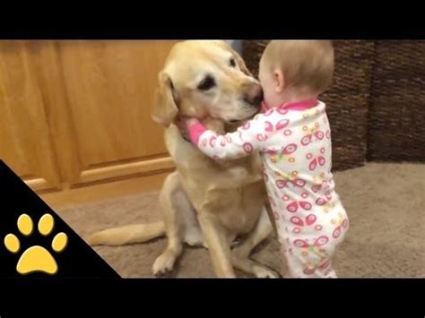 YouTube Animal Videos | List of Animal YouTube Channels