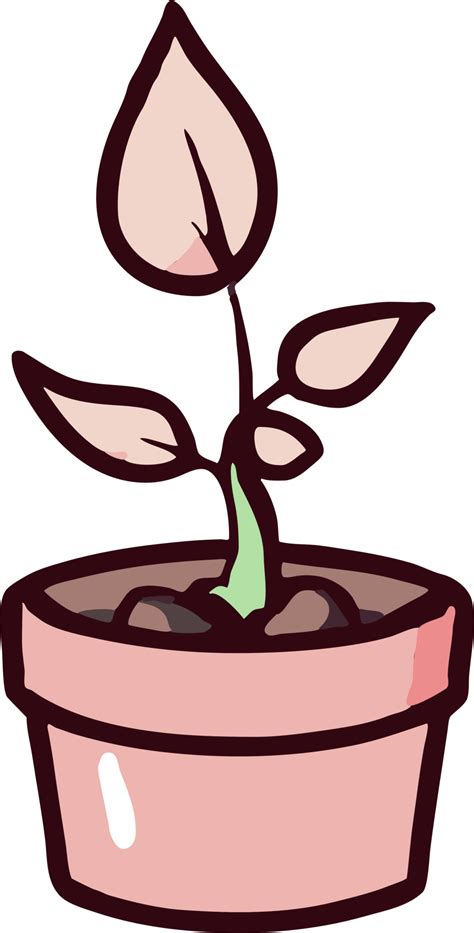 Plant growing png graphic clipart design 23743672 PNG