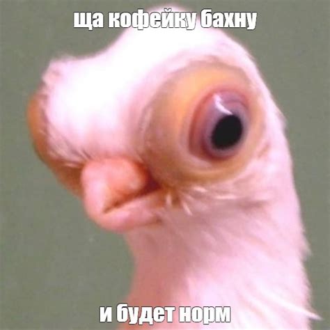 Мем: "ща кофейку бахну и будет норм" - Все шаблоны - Meme-arsenal.com