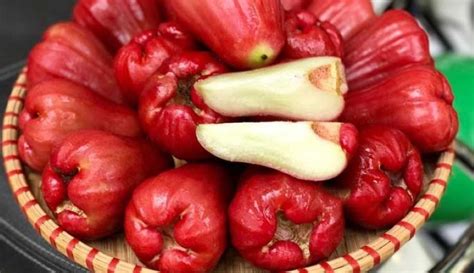 qua roi bao nhieu calo nhung dieu thu vi ve trai cay nay