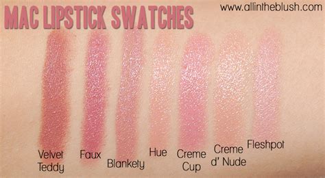 mac lipstick     blush