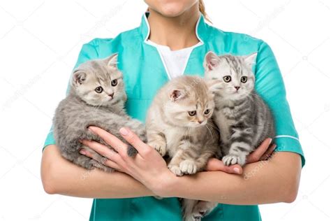 Veterinarian — Stock Photo © AndrewLozovyi #190043490