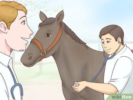 how to become an equine veterinarian