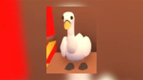 christmas pets  adopt   present roblox pro game guides