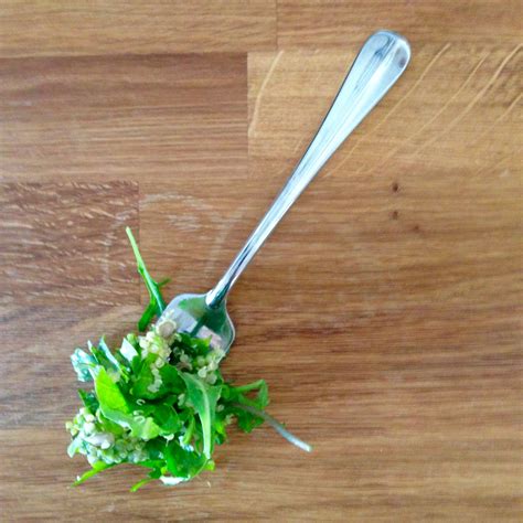 Would you diet before the wedding? — The Overwhelmed Bride // Wedding