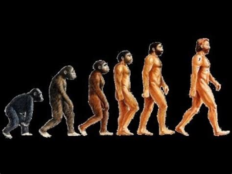 The birth of humanity - YouTube