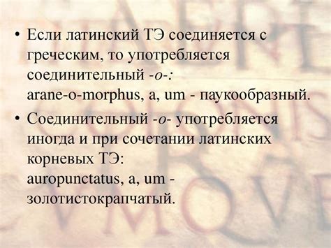 Латинский язык. Словообразование - презентация онлайн