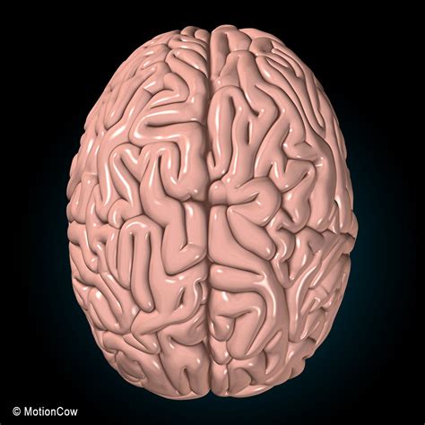 Brain.com Ua