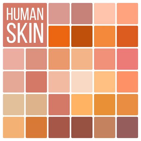 Human Skin Vector. Various Body Tones Chart. Realistic Texture Palette ...