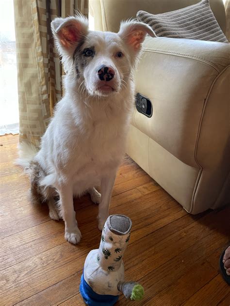 How do you measure success and what tools do you use to track KPI’s and