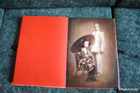 Книга: Мадам Баттерфляй - . Купить книгу, читать рецензии | Лабиринт