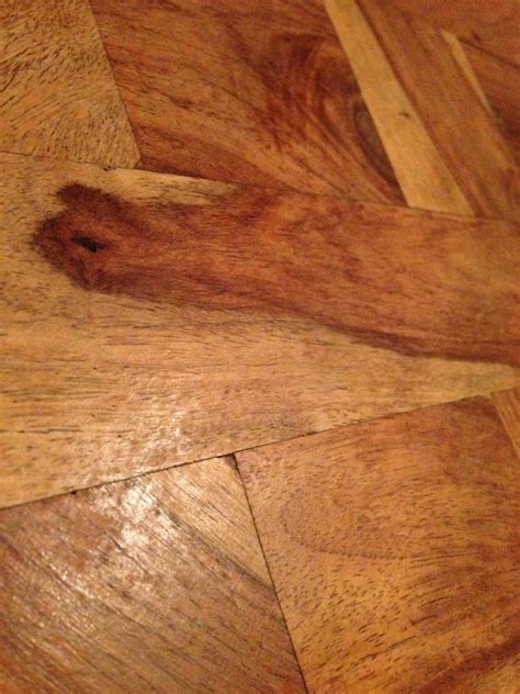 Fotos gratis : mesa, textura, hoja, piso, azulejo, maderas, decoración ...