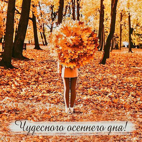 Осенние открытки с добрым днем и пожеланиями на осень