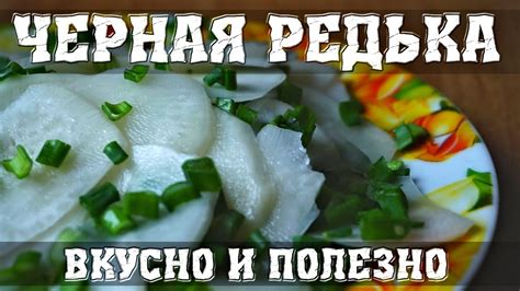 Как приготовить салат из черной редьки – Вкусный и полезный рецепт ...