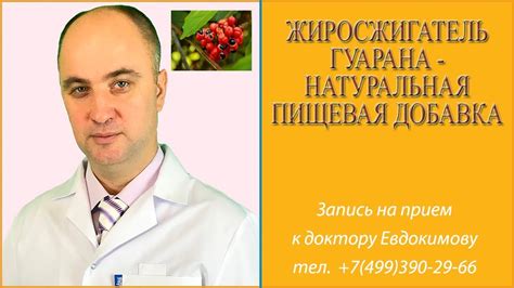Жиросжигатель гуарана - натуральная пищевая добавка - YouTube