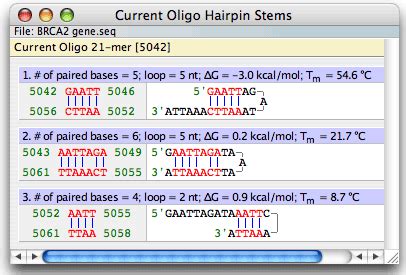 analyze hairpin stems windows
