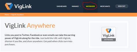 Viglink Review