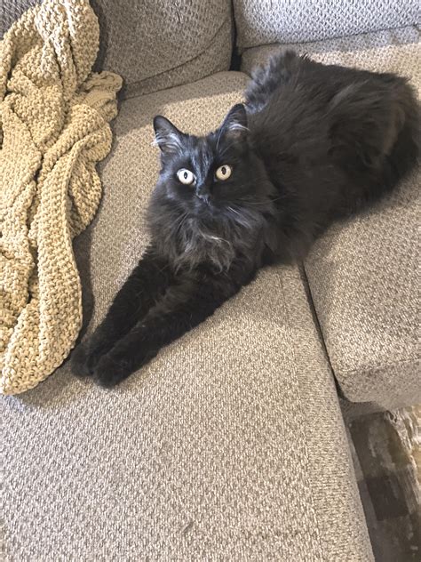 [PH] No, you do not get a say in this : r/zelda