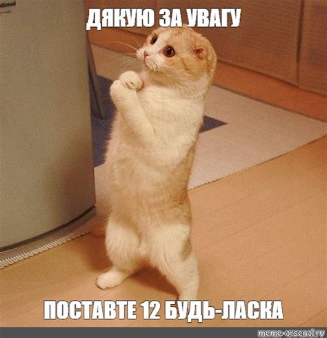 Create meme "the cat begs the meme, meme Kote , cat " - Pictures - Meme ...