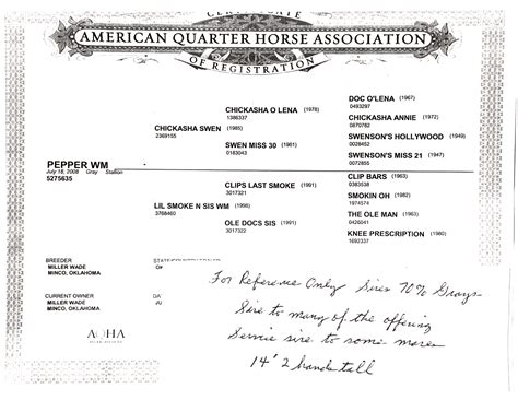 Bloodline Papers – Quarter Horses