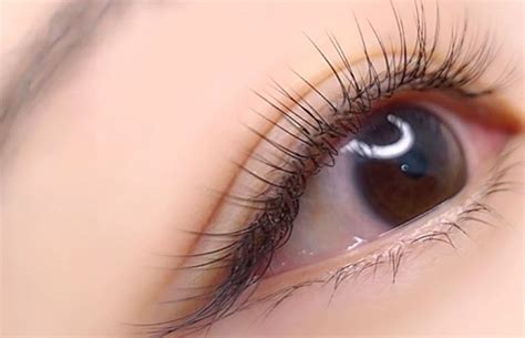 EYELASH EXTENSIONS PRICE LIST – Digital Agency