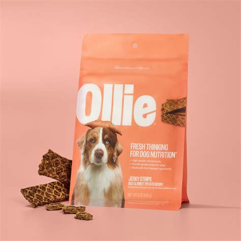 Dog Treats: Healthy, Clean Ingredients | Ollie