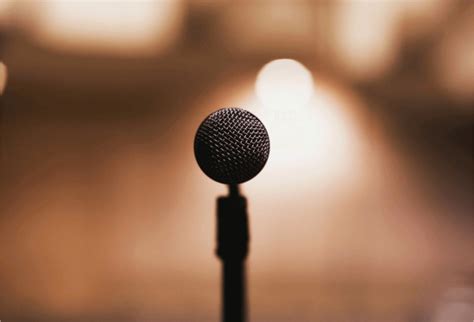 Fungsi Speaker Komputer, Berikut Bagian-bagiannya | Sonde.id