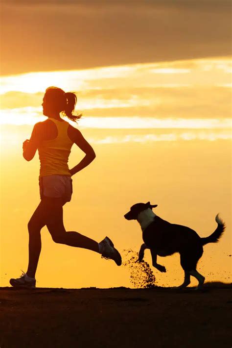 how to know how many calories i burn