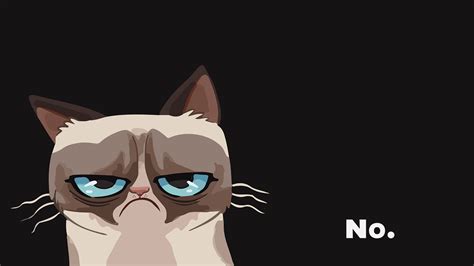 Grumpy Cat Wallpapers - Wallpaper Cave