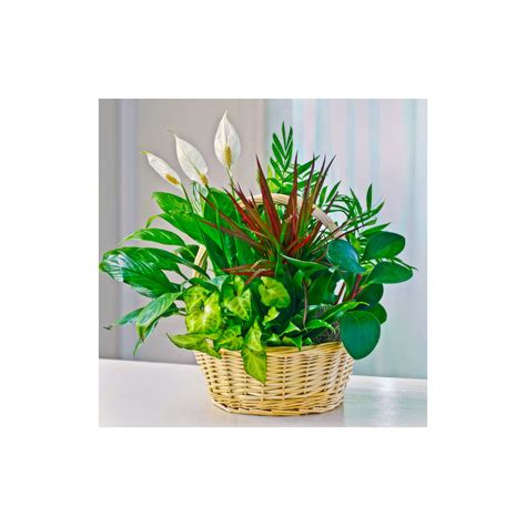 Tribute Wall | Marianne Gordon