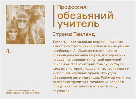 «Кем-кем ты работаешь?» Самые странные профессии, востребованные в ...