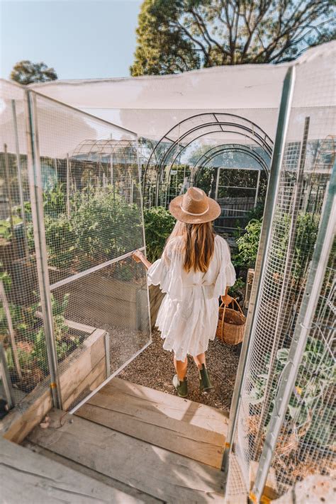 Raised Vegetable Garden Ideas Diy at Ashley Cianciolo blog