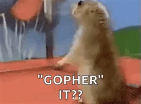 Gopher Shocked GIF - Gopher Shocked GopherIt - Discover & Share GIFs