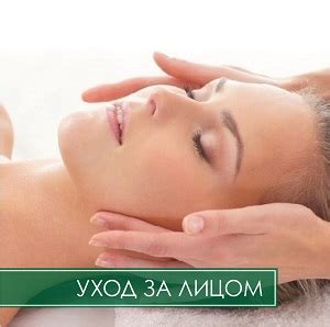 Vivaton - официальный дилер Украина