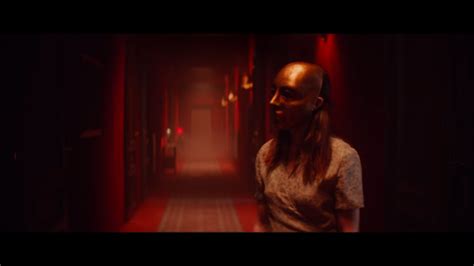 cadaver  explained netflix plot synopsis