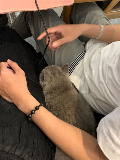 [OC] Me and my bf went to a coffee shop and the owner’s cat just sat