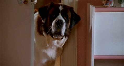 Бетховен 2 (1993) смотреть онлайн или скачать фильм через торрент ...