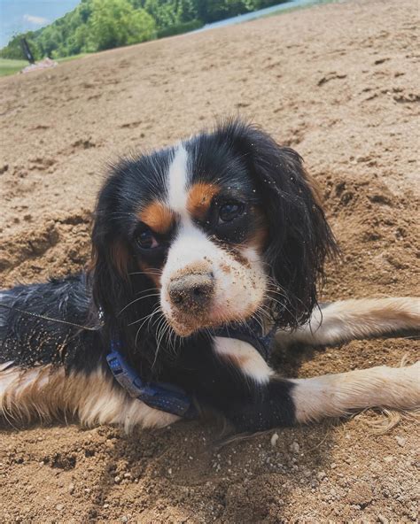 Carlie Marie McMaster (@carliemariebeal) • Instagram photos and videos