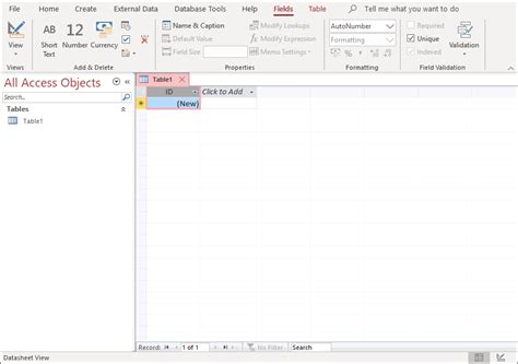 microsoft access    started  access