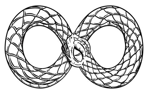 Comendo O Rabinho Da Gostosa - Desenho de uma cobra gulosa comendo seu rabo em um loop infinito ...