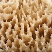 This Soothing Texture Test Will Reveal Your Secret Ambition