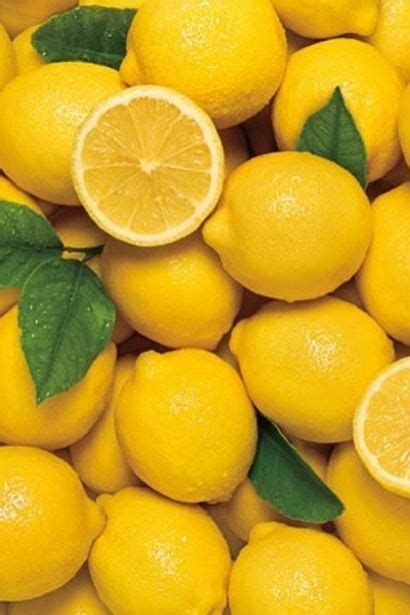 Pin by СТЕЛЛА ЛАНЕВСКАЯ on ЯГОДЫ - ФРУКТЫ | Fruit photography, Lemon ...
